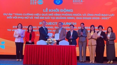 صندوق جمعیت سازمان ملل متحد (UNFPA) با استان کوانگ نین برای تقویت پیشگیری و واکنش به خشونت علیه زنان و دختران همکاری می‌کند.
