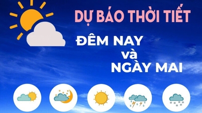 La météo est stable à Quang Ngai ; l'accent est mis sur la prévention des maladies du riz et des légumes.