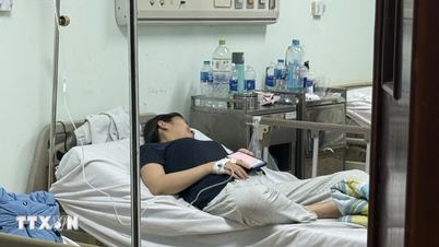 Aproape 50 de persoane suspectate de intoxicație alimentară după petrecerea de sfârșit de an: A fost detectată bacteria E. coli.