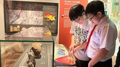 韓国の学生たちはダナンの文化を学び、体験することを楽しんでいます。