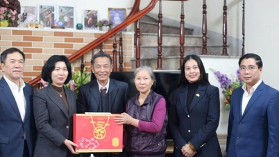 Ketua Dewan Rakyat Hanoi, Phung Thi Hong Ha, mengunjungi dan memberikan hadiah kepada keluarga yang menerima perlakuan istimewa di Ung Hoa.