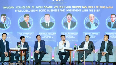 Numeroase oportunități de afaceri și investiții în centrul economic sudic.