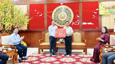 Leiders van Ho Chi Minh-stad bezoeken de provincie Vinh Long en brengen daar Tet-geschenken over.