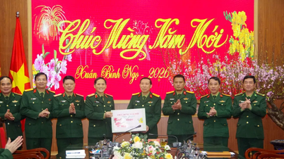 The Deputy Chief of the General Staff of the Vietnam People's Army inspects combat readiness and extends New Year greetings in Ha Tinh.