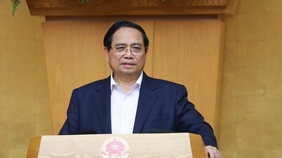 Thủ tướng: Ban hành ngay nghị quyết giải quyết phát sinh trong thực hiện Nghị định 46