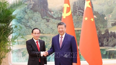 Kina bekrefter at det alltid legger stor vekt på og prioriterer utviklingen av vennskapelige forbindelser med Vietnam.