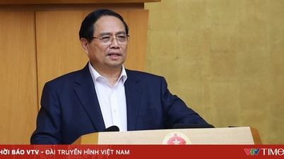นายกรัฐมนตรี: โปรดออกมติโดยทันทีเพื่อแก้ไขปัญหาที่เกิดขึ้นจากการบังคับใช้พระราชกฤษฎีกาฉบับที่ 46