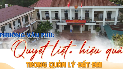 Pengurusan tanah yang tegas dan berkesan