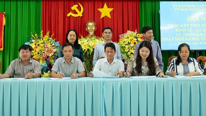 Binh Hoa beldesi, 2026 yılında sosyo-ekonomik sektörünü etkin ve sürdürülebilir bir şekilde geliştirmeye kararlıdır.