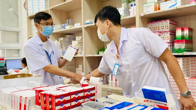 Control strict și pedepse severe pentru actele de speculație și creșterea prețurilor medicamentelor în timpul Anului Nou Lunar al Calului.