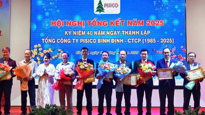 บริษัท PISICO Binh Dinh มุ่งมั่นที่จะเป็นกลุ่มเศรษฐกิจเอกชนที่แข็งแกร่ง