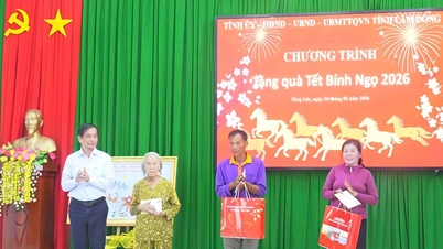 लाम डोंग प्रांतीय पार्टी कमेटी के प्रचार और जन लामबंदी विभाग के प्रमुख, वो थान बिन्ह ने सोंग लुय कम्यून का दौरा किया और वहां टेट के उपहार भेंट किए।