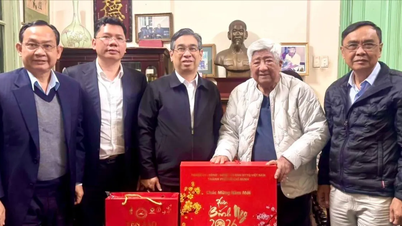The delegation from the Standing Committee of the Ho Chi Minh City Party Committee visited and extended New Year greetings to former leaders of the Party and State.