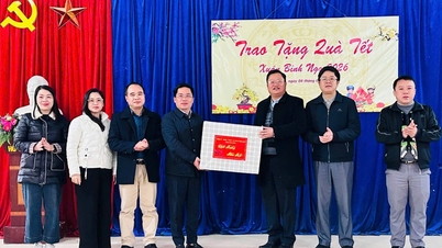 Le camarade Nguyen The Hoan, membre du Comité permanent du Comité provincial du Parti, secrétaire du Comité du Parti et président du Conseil populaire du quartier de Thuc Phan, a rendu visite à la commune de Nam Tuan et lui a présenté ses vœux du Nouvel An.