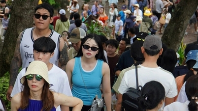 Wilayah Khanh Hoa mempunyai dasar baharu untuk menyokong warga asing yang menghadapi masalah kewangan.