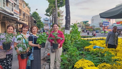 ดอกเทพีตรุษจีนมาถึงเมืองชายทะเลแห่งนี้แล้ว
