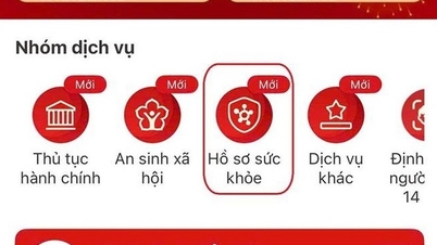 Wie Sie Ihre Krankengeschichte und Ihre Rezepte Ihrer Krankenversicherung auf VNeID abrufen können