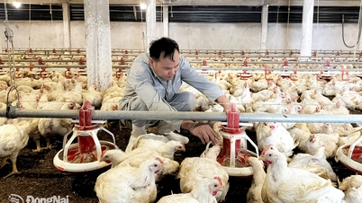 Modern hayvancılığın geliştirilmesi.