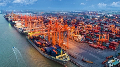Cai Mep Ha-havnen og containerhavnprosjektet hever statusen til Ho Chi Minh-byens havner.