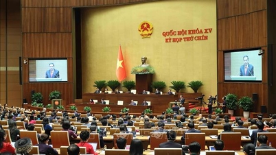 Élections à l'Assemblée nationale et au Conseil populaire : L'Assemblée nationale vietnamienne – un symbole d'unité nationale.