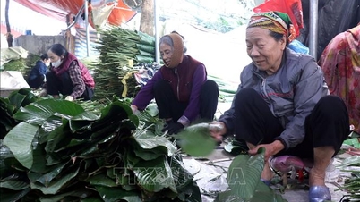 Cesta banánových listů z Hong Chau k „exportu“