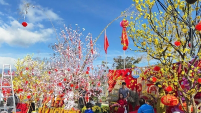 Lam Dong today, February 4th