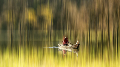 Vietnam'ın doğası, 10 fotoğrafçının objektifinden yansıyan bir tablo kadar güzel.