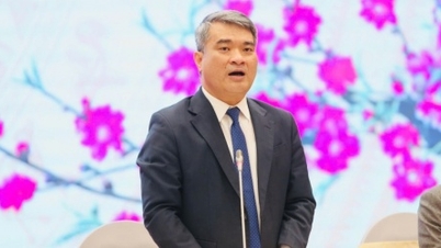 Ministry of Justice: Institutional reform, removing bottlenecks, effectively implementing Resolution 01/NQ-CP