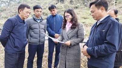 Phó Chủ tịch UBND tỉnh Vương Ngọc Hà làm việc tại các xã biên giới Cán Tỷ, Tùng Vài, Nghĩa Thuận