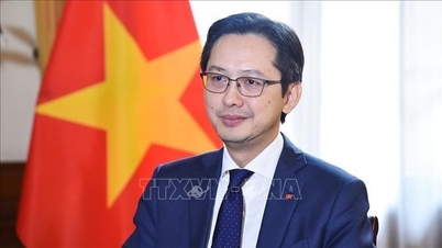 ຫວຽດນາມ ຕີລາຄາສູງບົດບາດຂອງ UNDP ໃນການຮ່ວມມືເພື່ອການພັດທະນາແບບຍືນຍົງ.