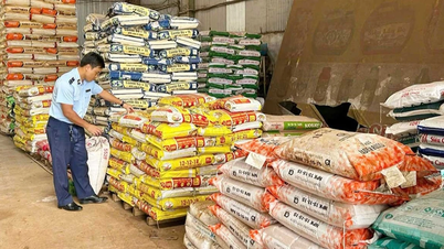 Menindak tegas pelanggaran dalam produksi dan perdagangan perlengkapan pertanian.