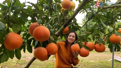 สินค้าพร้อมส่งสำหรับเทศกาลตรุษจีนแล้ว