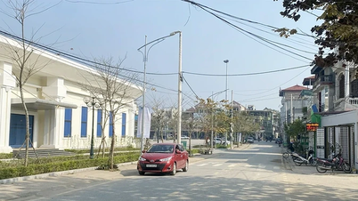 Crearea unei platforme pentru atragerea resurselor de investiții.