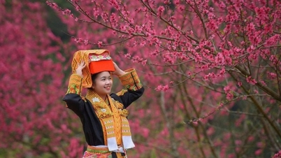 Lạng Sơn: Đắm chìm trong sắc hoa đào và khám phá làng du lịch tốt nhất thế giới