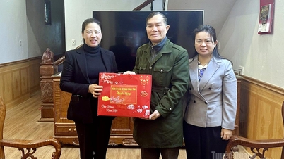 A vice-secretária do Comitê Provincial do Partido, Le Thi Kim Dung, visita e envia felicitações de Ano Novo aos antigos líderes dos Comitês do Partido das agências partidárias provinciais.