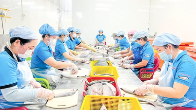 リソースを増やし、地元の OCOP 製品の競争力を強化します。