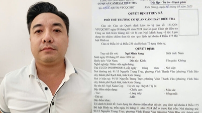 5 अरब वियतनामी डोंग से अधिक की हेराफेरी करने वाले बैंक निदेशक ने खुद को पुलिस के हवाले कर दिया।