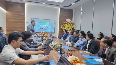 El Departamento de Agricultura y Medio Ambiente de la provincia de Son La está colaborando con Global Technology and Digitalization Joint Stock Company para promover la transformación digital en el sector agrícola.