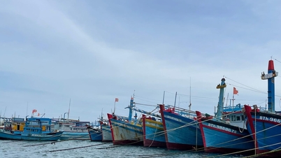 Lâm Đồng phát triển ngành Thủy sản theo hướng kinh tế xanh, hiện đại, hiệu quả cao, bền vững