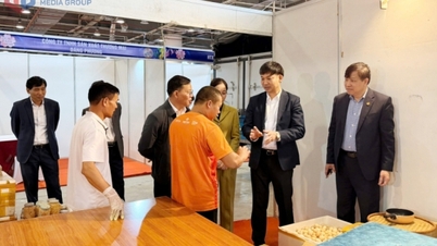 Kiểm tra công tác chuẩn bị Hội chợ OCOP Quảng Ninh – Xuân 2026