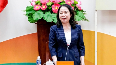 Wakil Presiden Vo Thi Anh Xuan mengawasi dan memeriksa pekerjaan pemilu di Lam Dong.