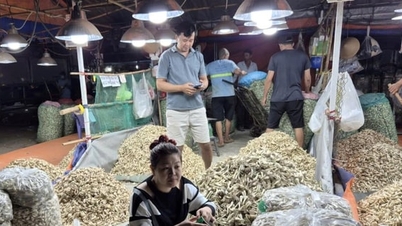 ទីក្រុងហូជីមិញ៖ ទំនិញបុណ្យតេតសម្បូរបែប តម្លៃមានស្ថិរភាព។