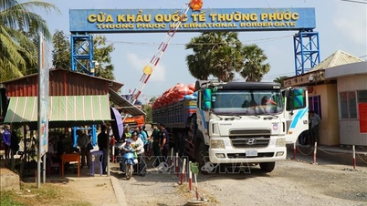 Mobilize maximum resources to expedite customs clearance of imported agricultural products.