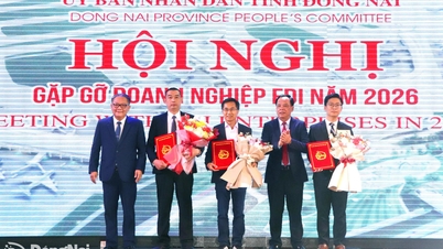ខេត្តដុងណៃផ្តល់វិញ្ញាបនបត្រវិនិយោគដល់គម្រោង FDI ចំនួន ៣ ដែលមានដើមទុនសរុបជិត ៥៥០ លានដុល្លារអាមេរិក។