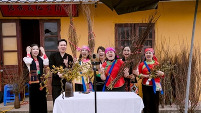 ຊາວກະສິກອນຖ່າຍທອດສົດຈາກສວນຂອງເຂົາເຈົ້າ, ປ່ຽນວິທີການຂາຍດອກໄມ້ເທດສະການ.