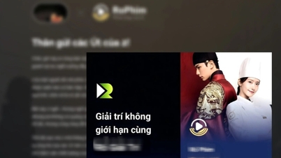 Vietnam'ın önde gelen korsan film sitelerinden biri faaliyetlerini durdurdu.