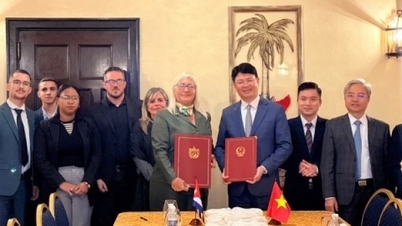 Stärkung und Weiterentwicklung der traditionellen freundschaftlichen Zusammenarbeit zwischen Vietnam und Kuba im Bereich Recht und Justiz.