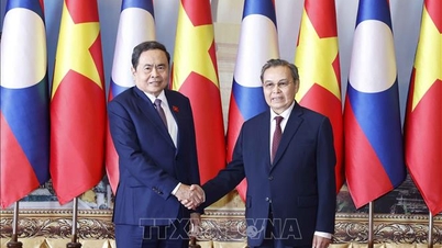 Pengerusi Dewan Undangan Negeri, Tran Thanh Man bertemu dengan Pengerusi Dewan Undangan Negeri Lao.