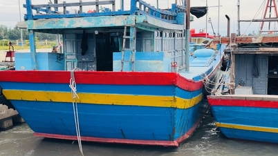 Chủ động ứng phó với không khí lạnh tăng cường và gió mạnh trên biển