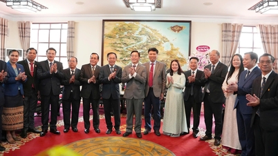 Sekreteraren för stadsfestkommittén, Nguyen Dinh Trung, ledde mottagningen för delegationen från Salavan-provinsen som kom för att besöka och framföra nyårshälsningar.
